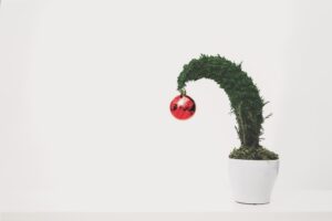 little plant with Christmas ornament