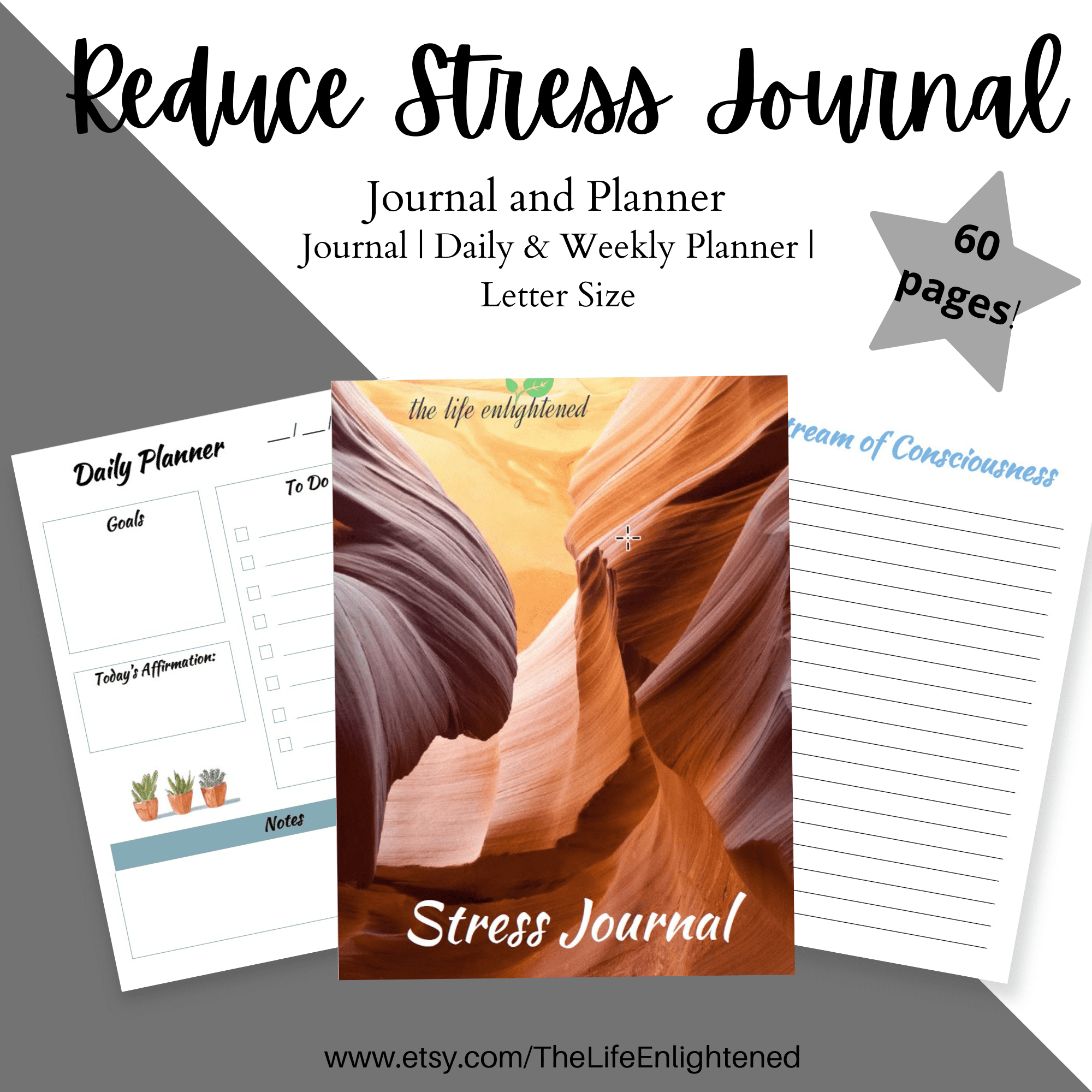 stress management journal