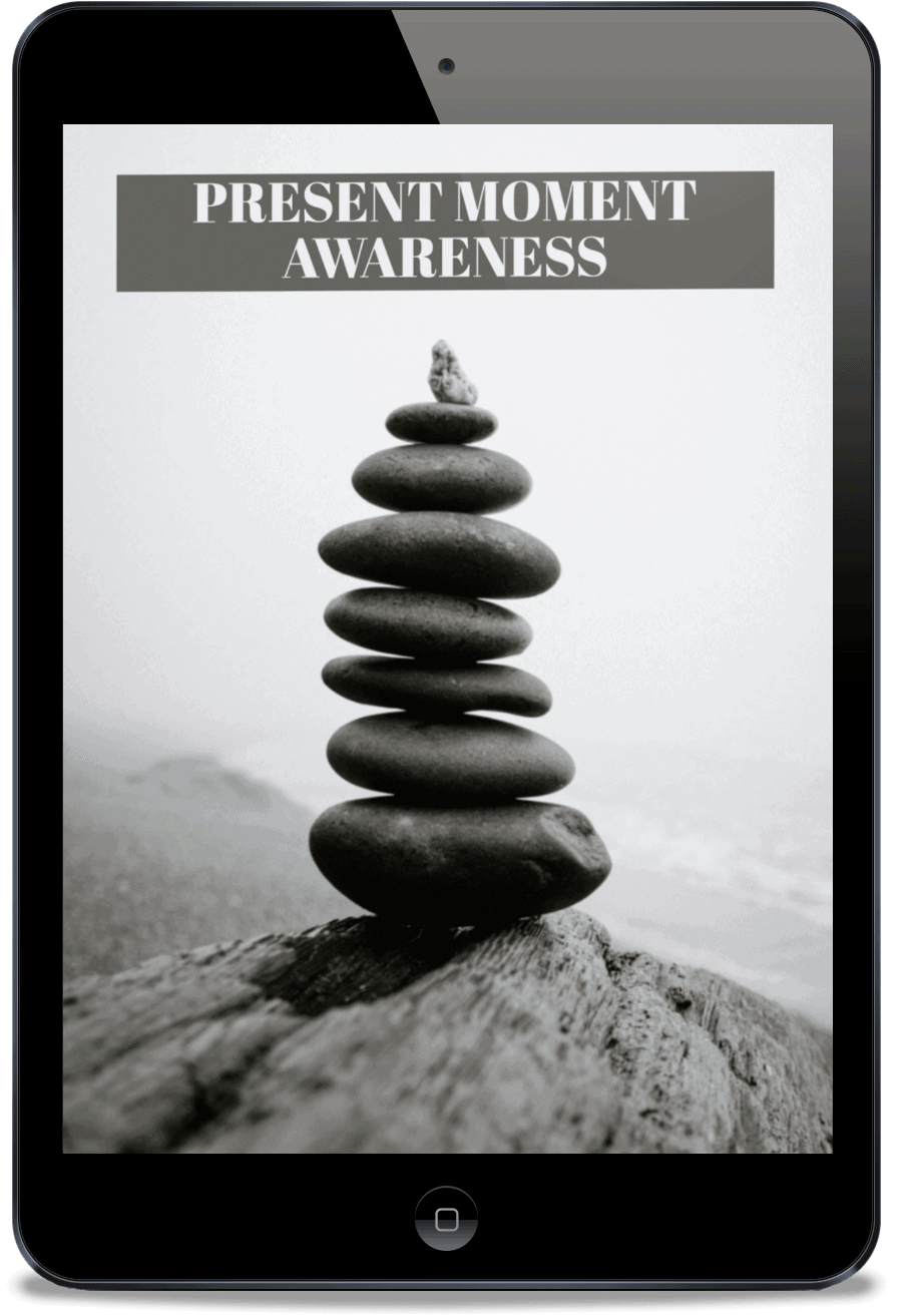present moment awareness course